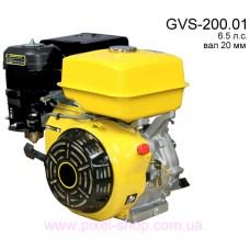 Двигатель бензиновый GVS200